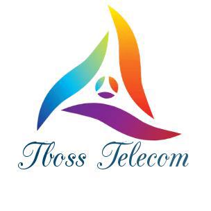 Tboss Data Sub