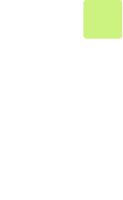 ZIZI growth agency