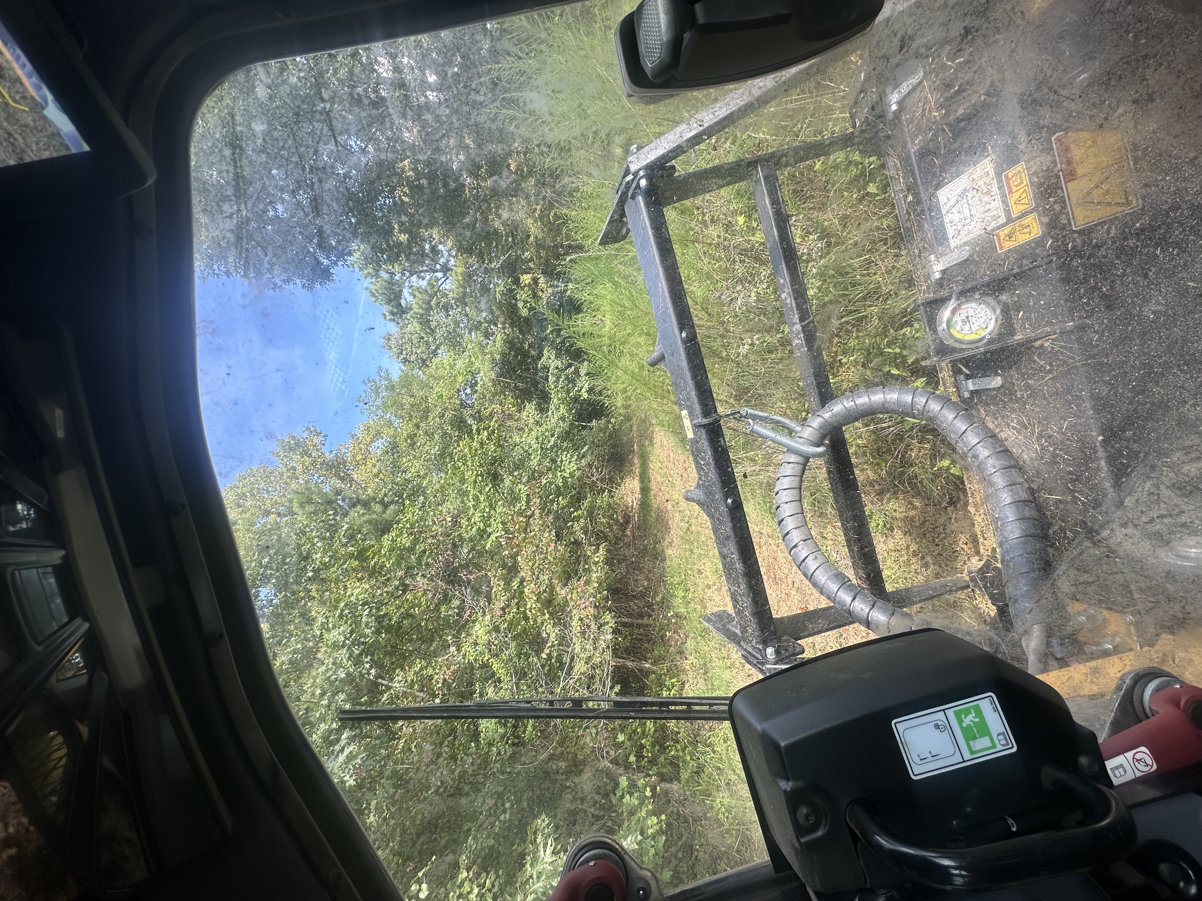 Back 40 operator cab perspective with forestry mulching head clearing invasive tall weeds and brush along a wooded access trail in Middle Tennessee