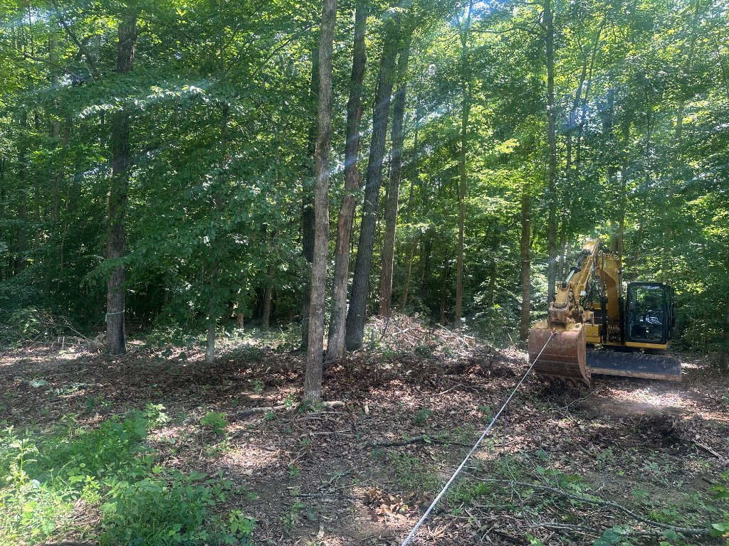 Dense overgrown brush and large hardwood trees before Back 40 Land Services forestry mulching and tree removal in Southside, Montgomery County TN