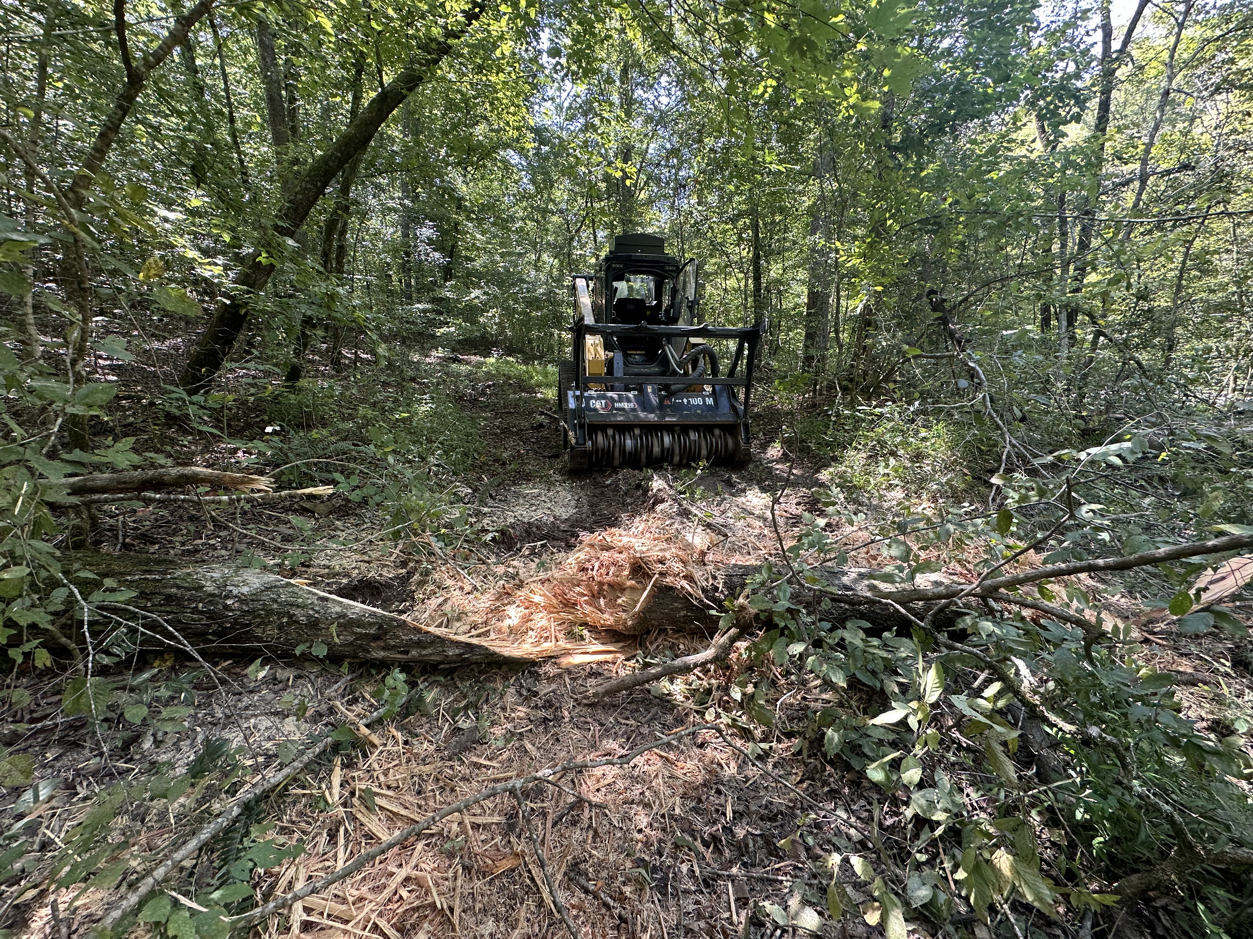 Back 40 CAT track loader with drum forestry mulcher head processing large felled tree trunks in heavy timber woods during land clearing in Lewis County, Middle Tennessee