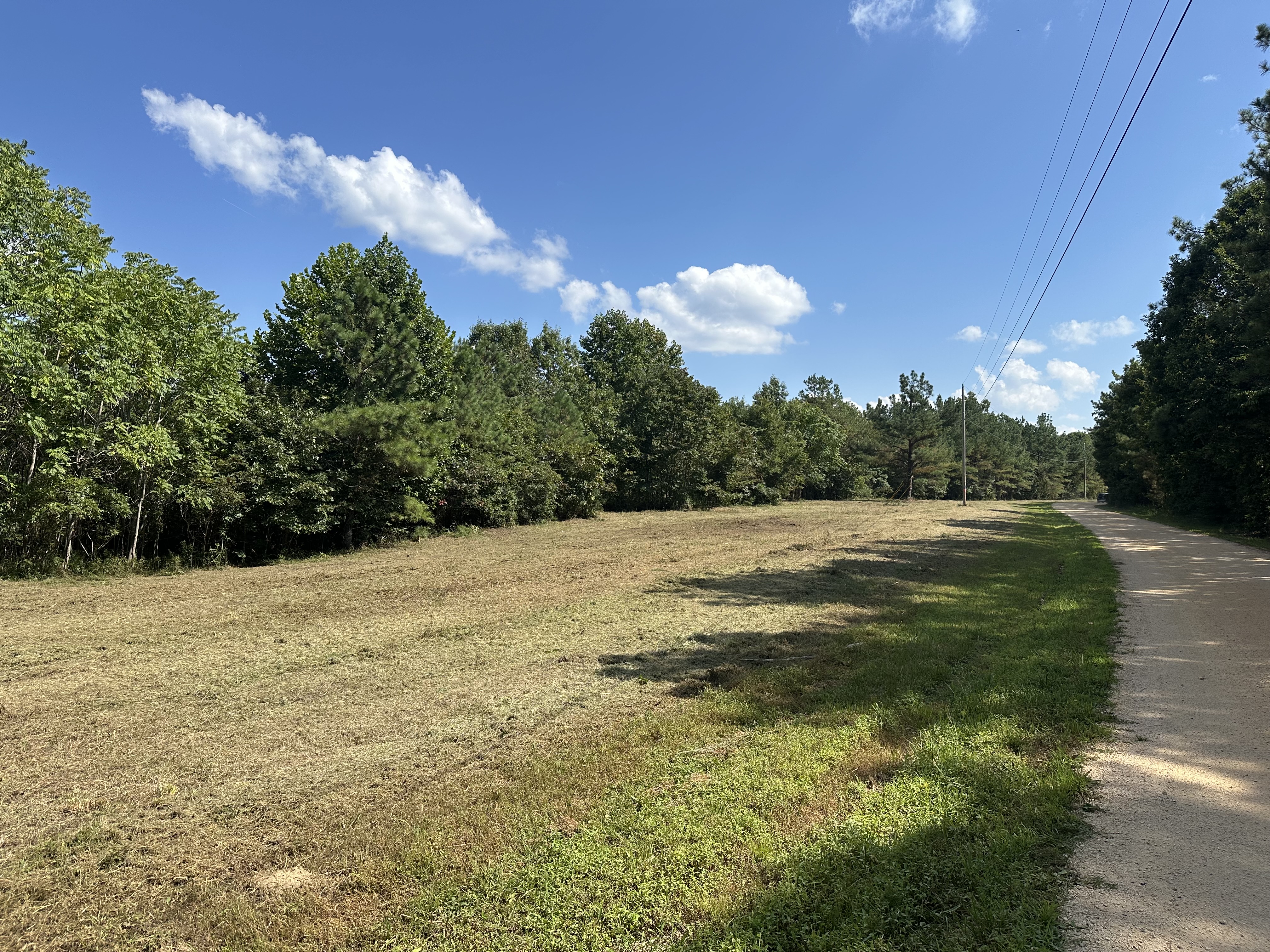 Open mulched field with clean hardwood tree line and clear gravel road after Back 40 Land Services forestry mulching and field reclamation in Middle Tennessee