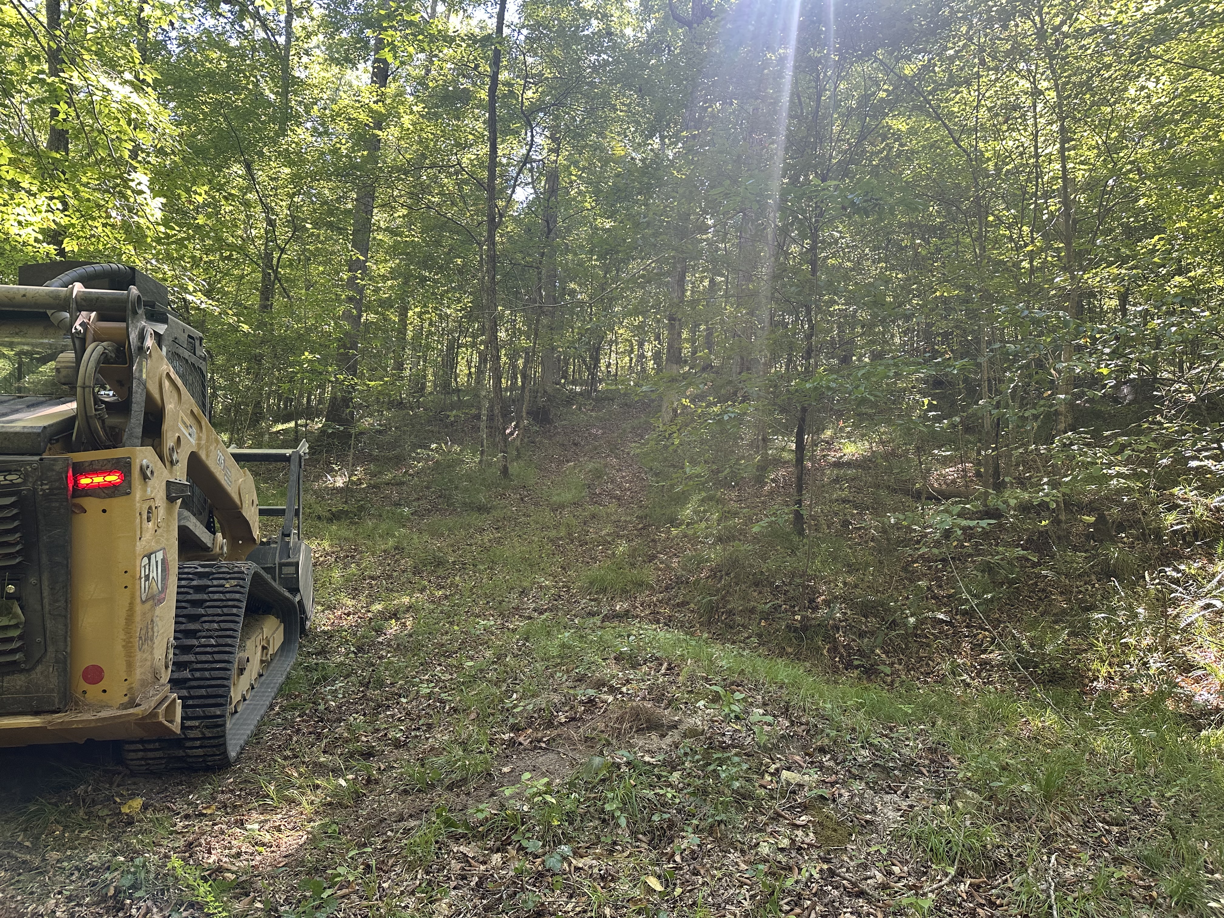Rear view of Back 40 CAT track loader cutting an access trail through dense forest canopy during hunting trail and wildlife corridor creation in Middle Tennessee