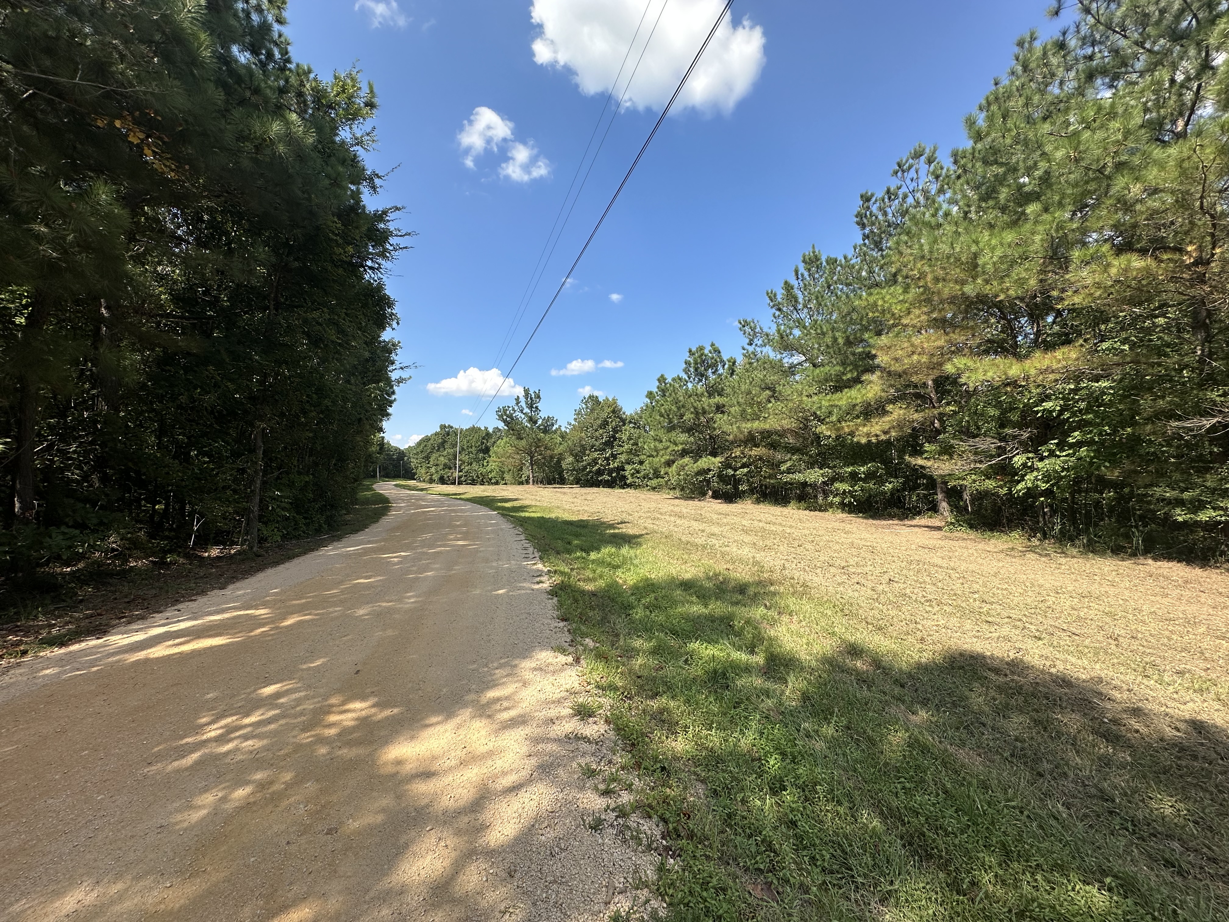 Clean gravel road with wide mulched shoulder and intact tree canopy after Back 40 Land Services roadside right-of-way forestry mulching in Middle Tennessee