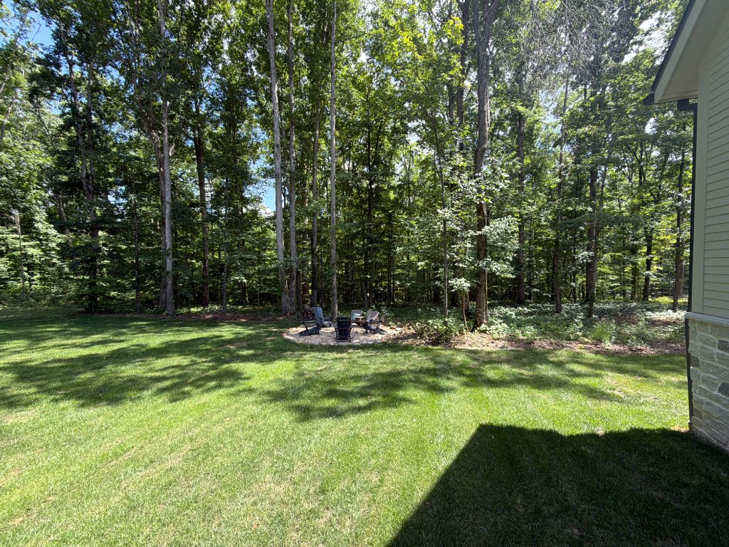 Overgrown wooded lot with dense understory brush and cedar before Back 40 Land Services forestry mulching in Franklin, Williamson County TN