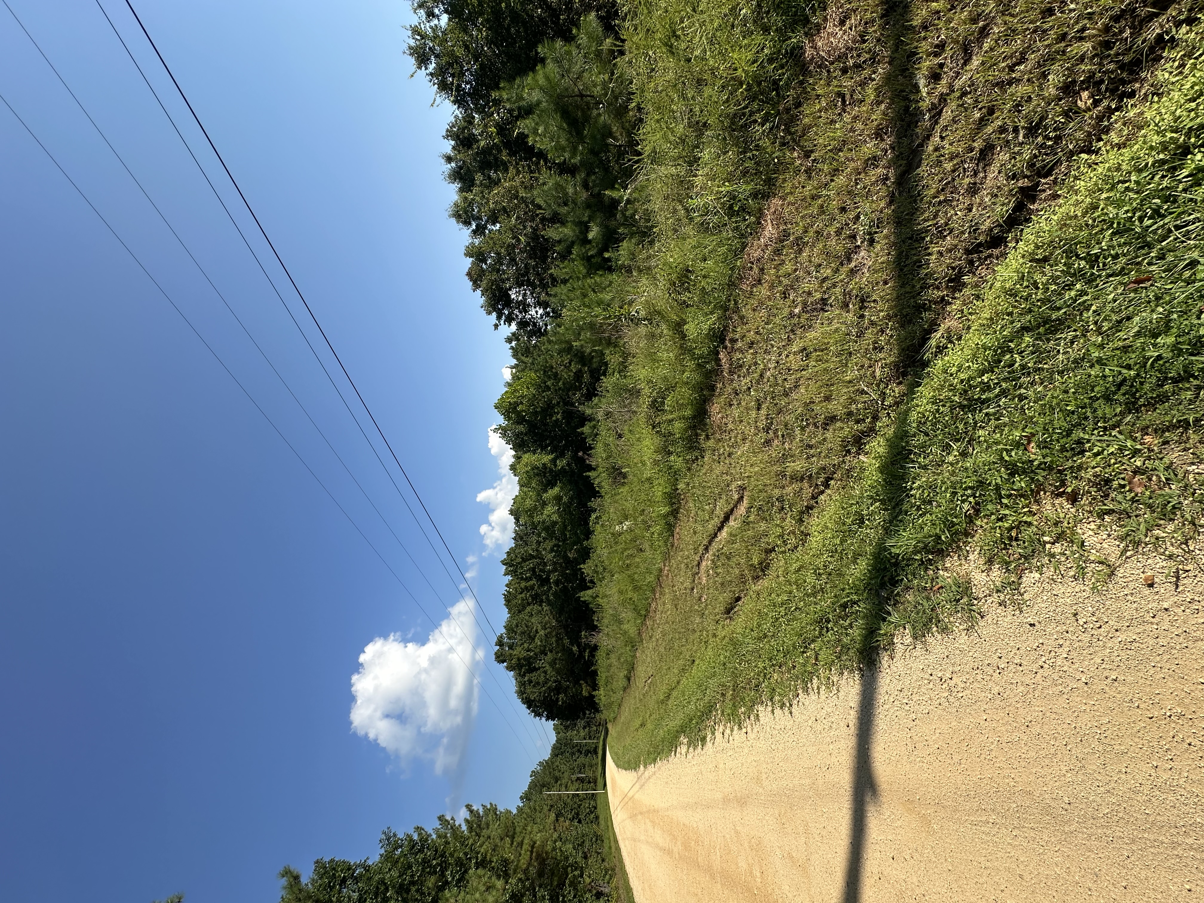 Rural gravel road bordered by thick unmanaged brush thickets and overgrown vegetation before Back 40 right-of-way clearing in Middle Tennessee