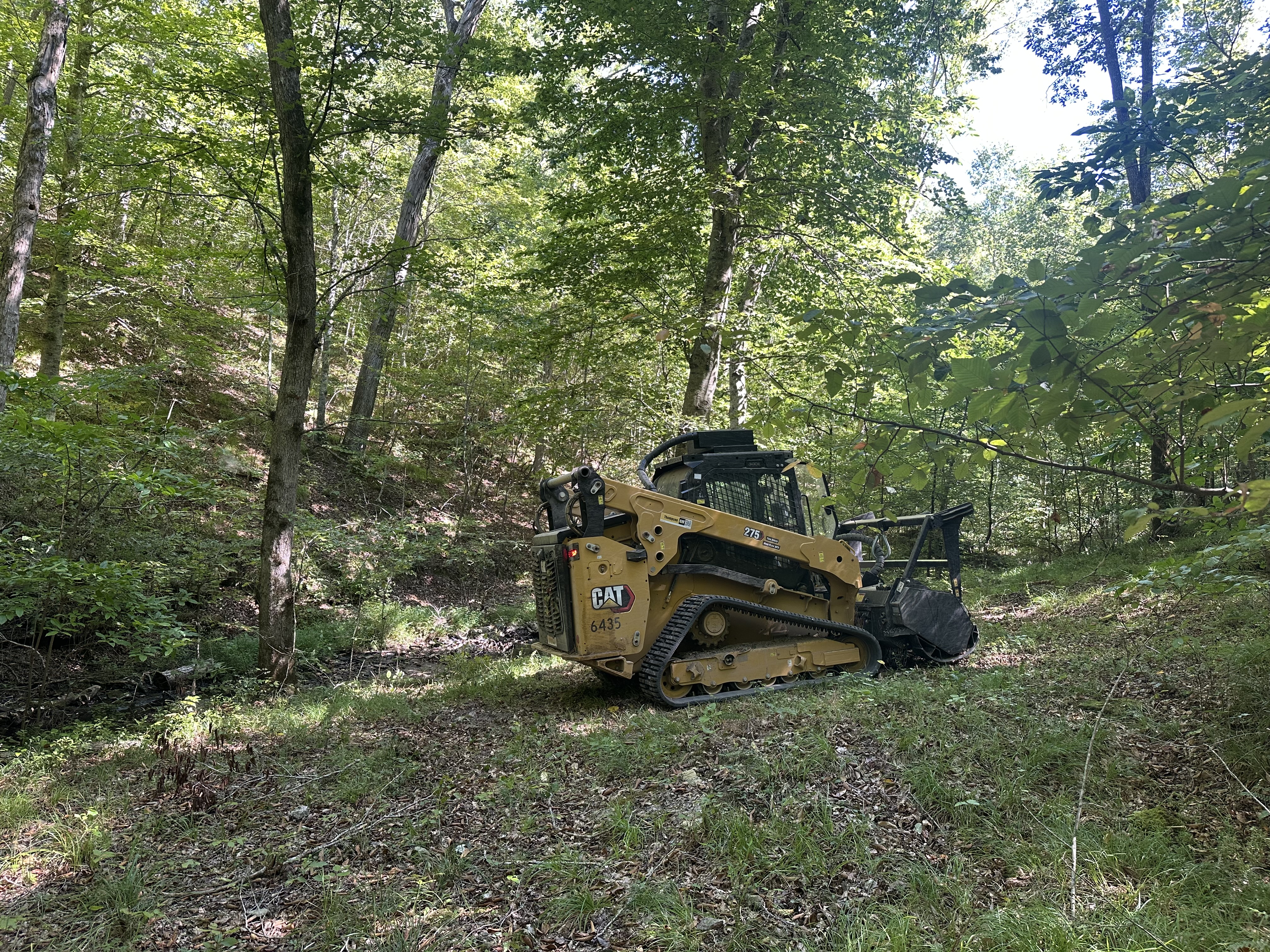 Back 40 CAT 275 compact track loader with Fecon forestry mulching head navigating a heavily wooded sloped ravine during land clearing in Middle Tennessee