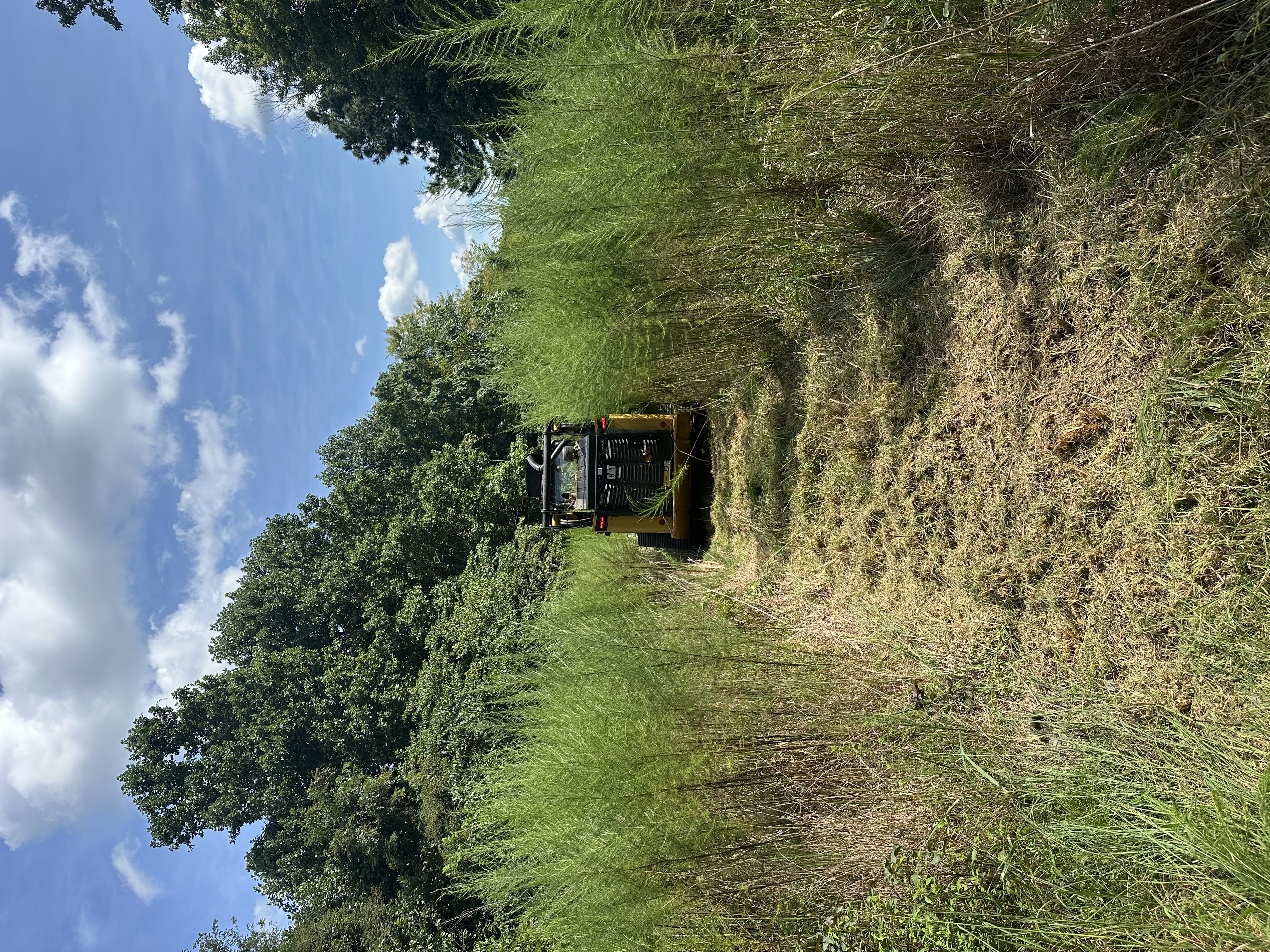 Back 40 CAT 275 skid steer with Fecon mulching head removing invasive brush and undergrowth on a Nashville, Davidson County TN property