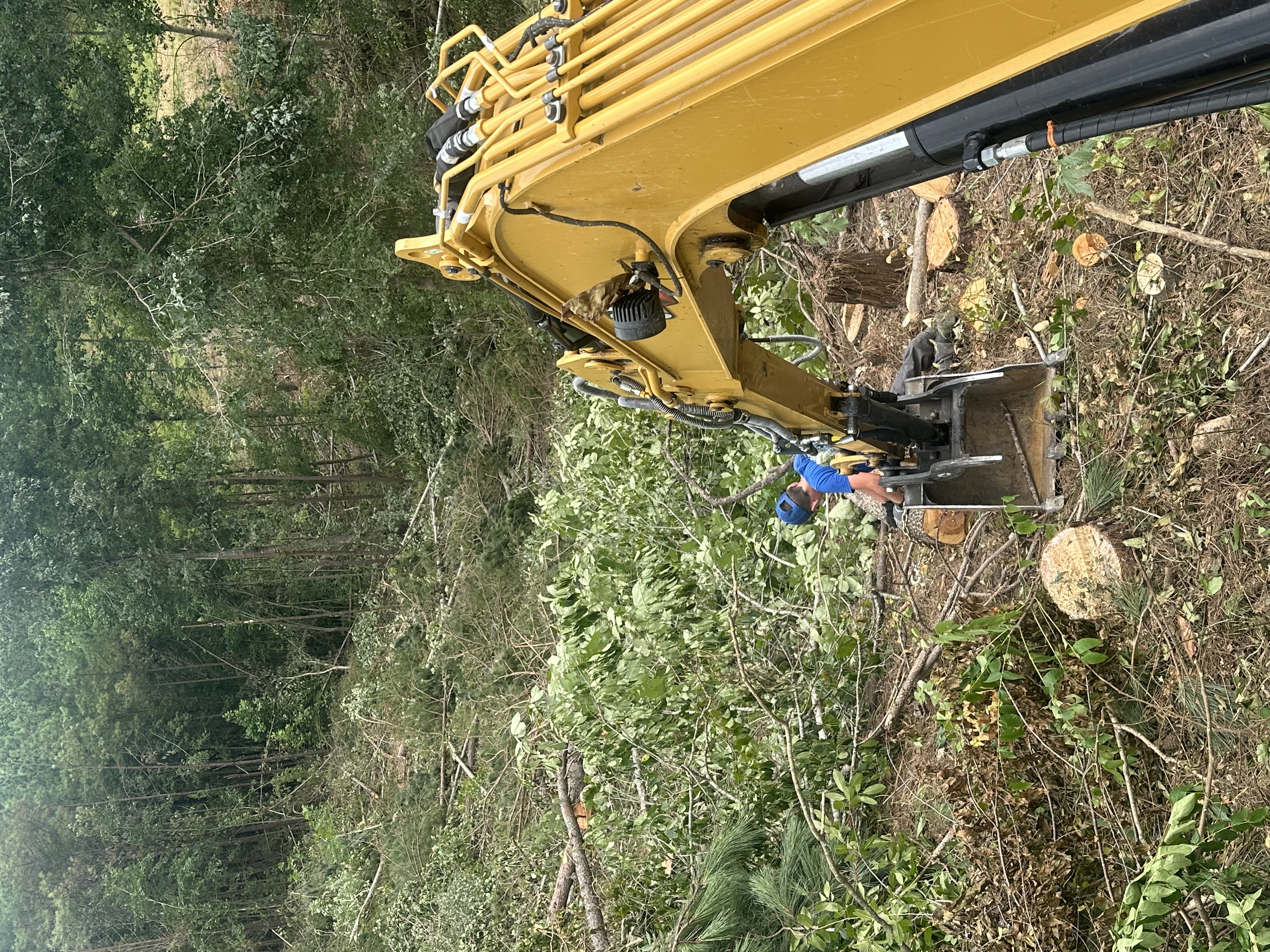 Back 40 Caterpillar excavator with hydraulic thumb lifting and clearing felled hardwood logs on a steep wooded hillside during land clearing in Middle Tennessee