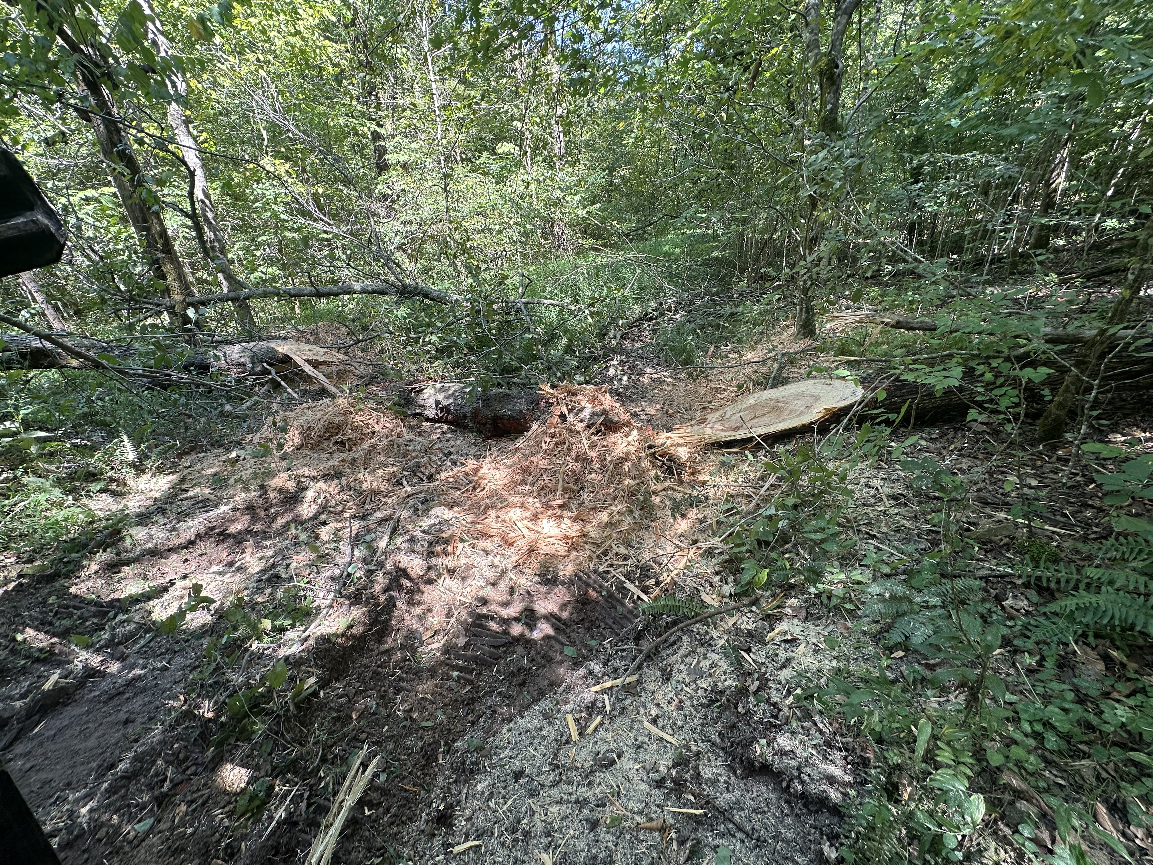 Freshly mulched wood fiber and processed timber clearing a path through dense hardwood forest after Back 40 forestry mulching in Middle Tennessee