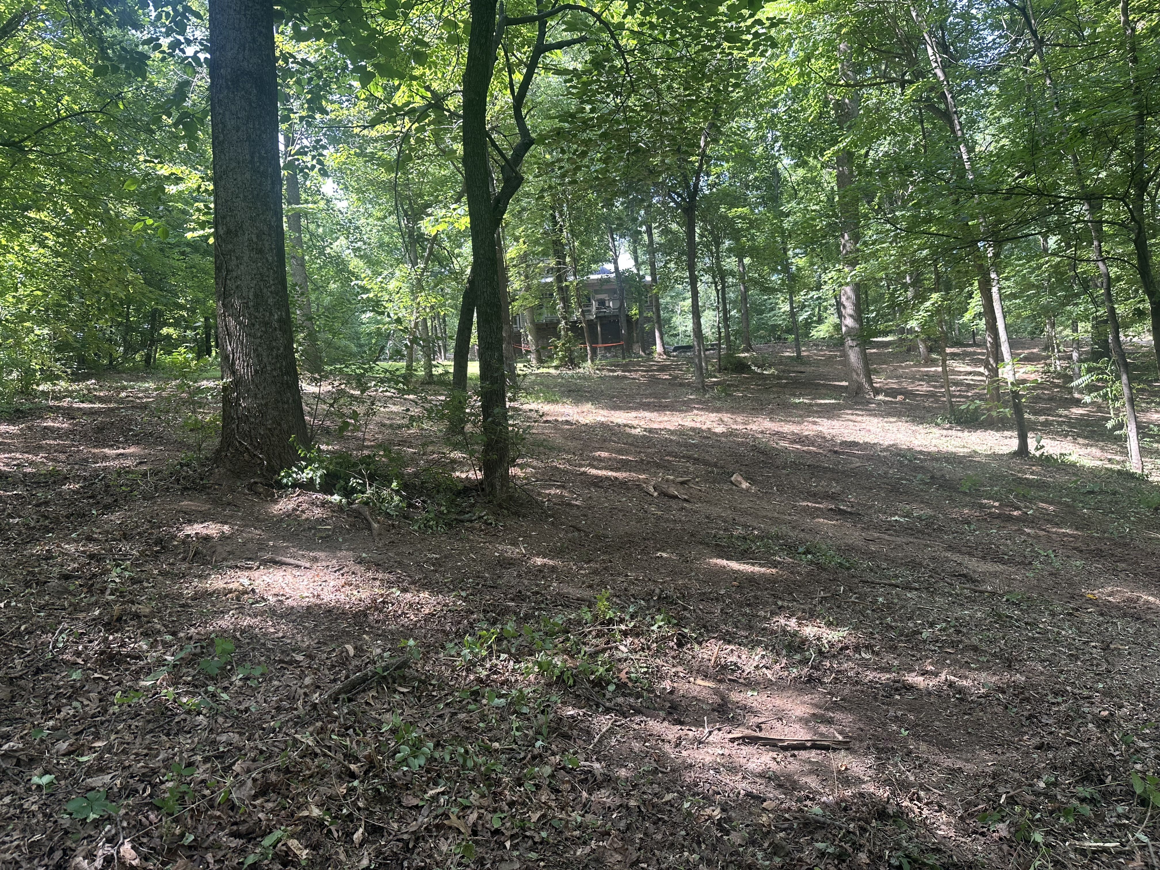 Forestry mulching machinery reclaiming 800 linear feet of overgrown fence line in Davidson County TN — no hauling, single-pass clearing