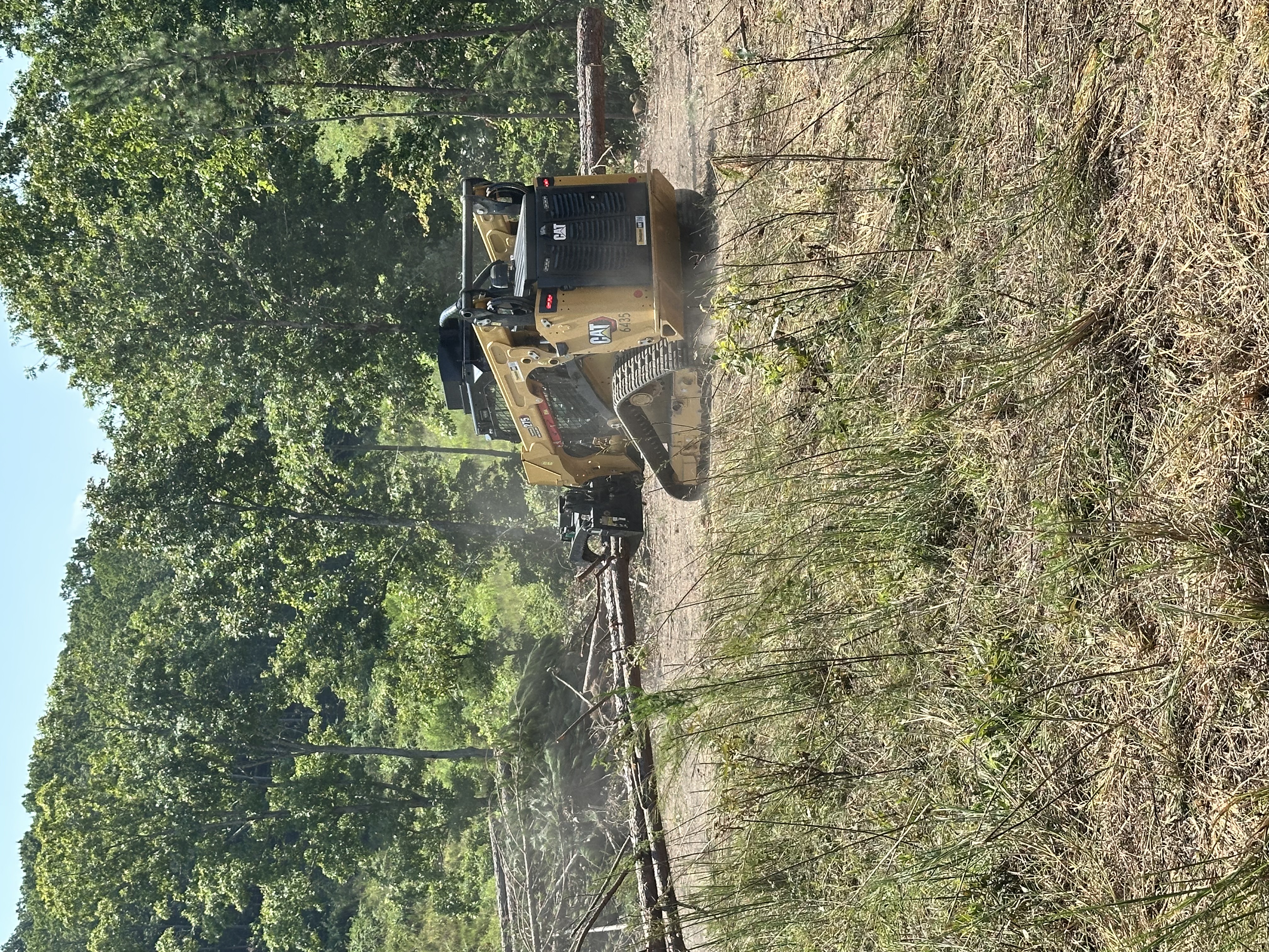Back 40 Land Services crew felling and grinding hardwood trees and stumps to grade on a rural property in Middle Tennessee
