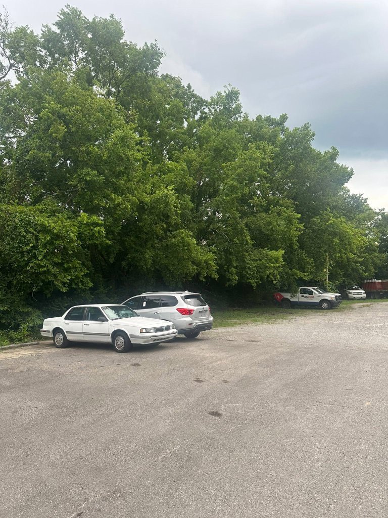 Overgrown commercial property fence line with dense brush and invasive vegetation before Back 40 Land Services forestry mulching in Nashville, Davidson County TN