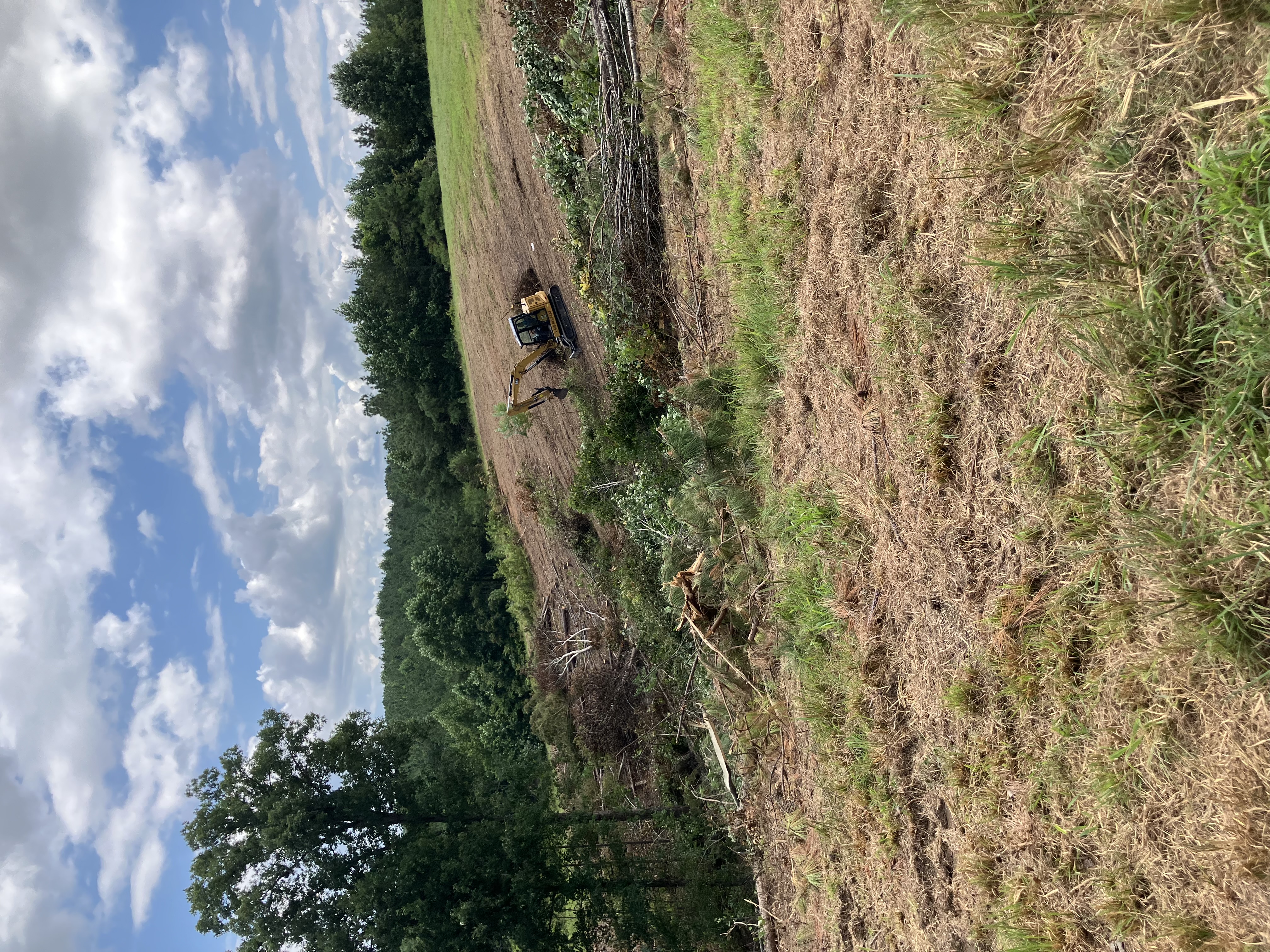 Back 40 Land Services Caterpillar excavator performing steep hillside excavation and slope clearing on a residential development lot in Franklin, Williamson County TN