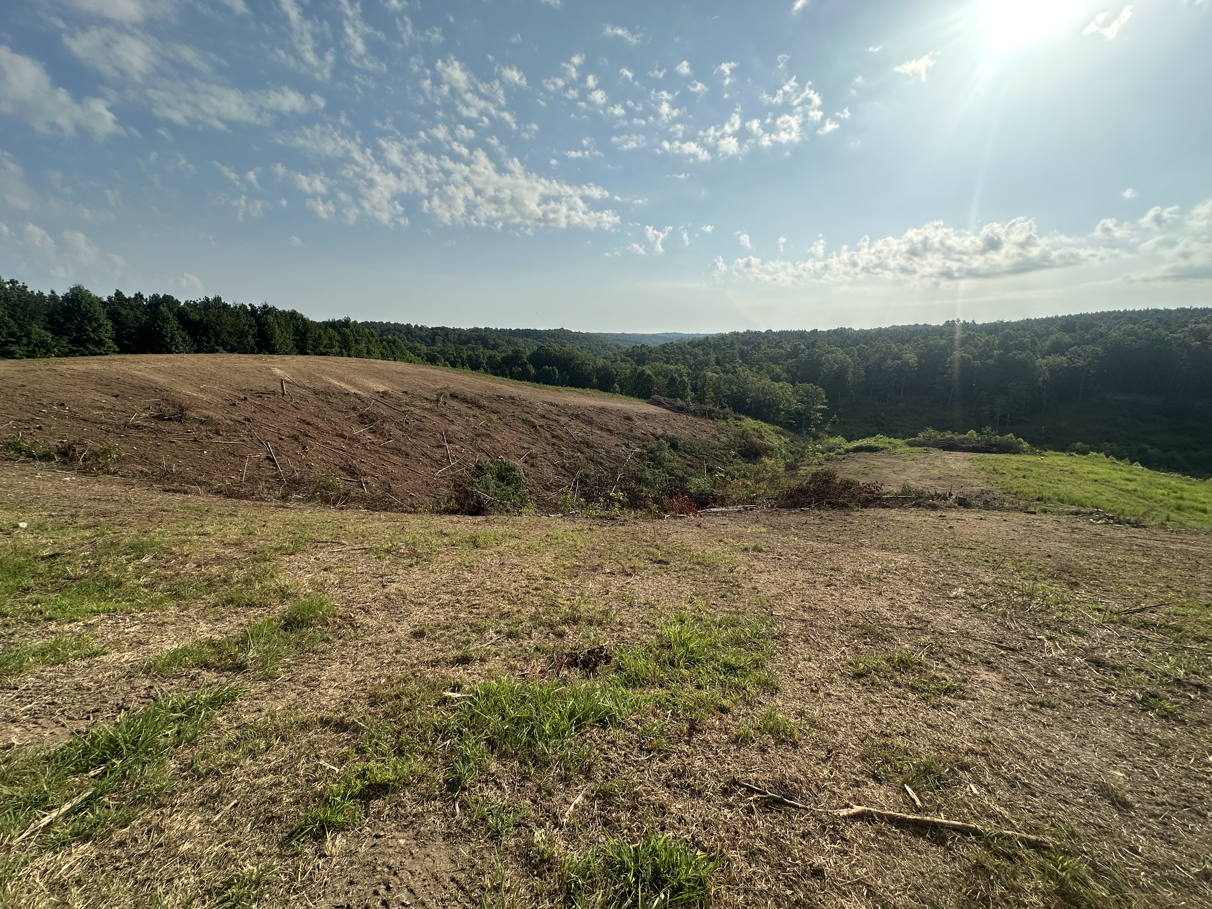 Cleared, forestry-mulched, and rough-graded sloped acreage after Back 40 Land Services land clearing — site ready for residential or agricultural development in Middle Tennessee