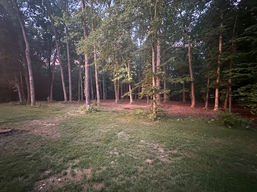 Open cleared property with organic mulch ground cover after Back 40 large tree removal and forestry mulching in Southside, Montgomery County TN
