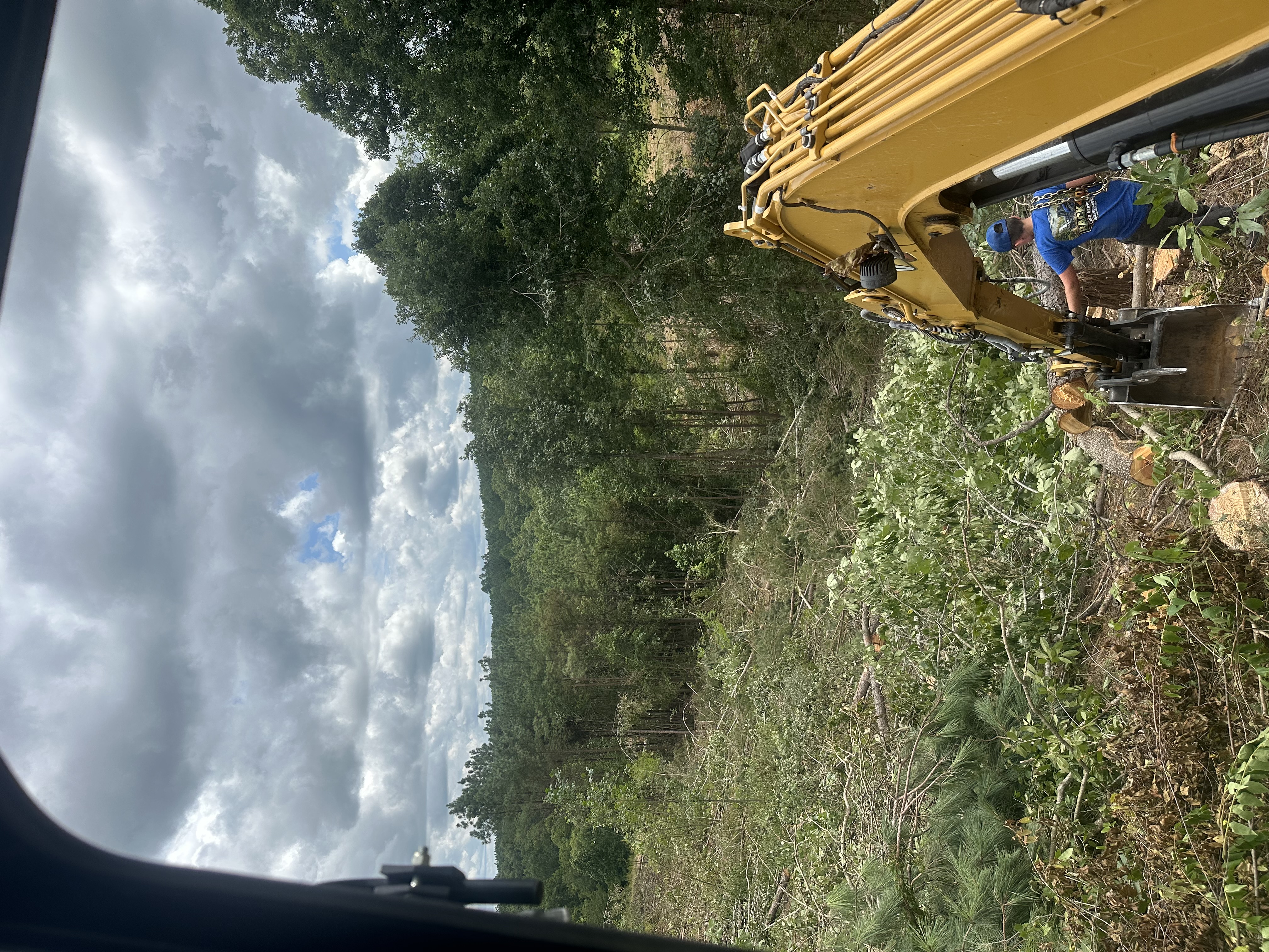 Back 40 Land Services excavator operator perspective clearing timber, underbrush, and downed logs on a steep sloped wooded property in Williamson County, TN
