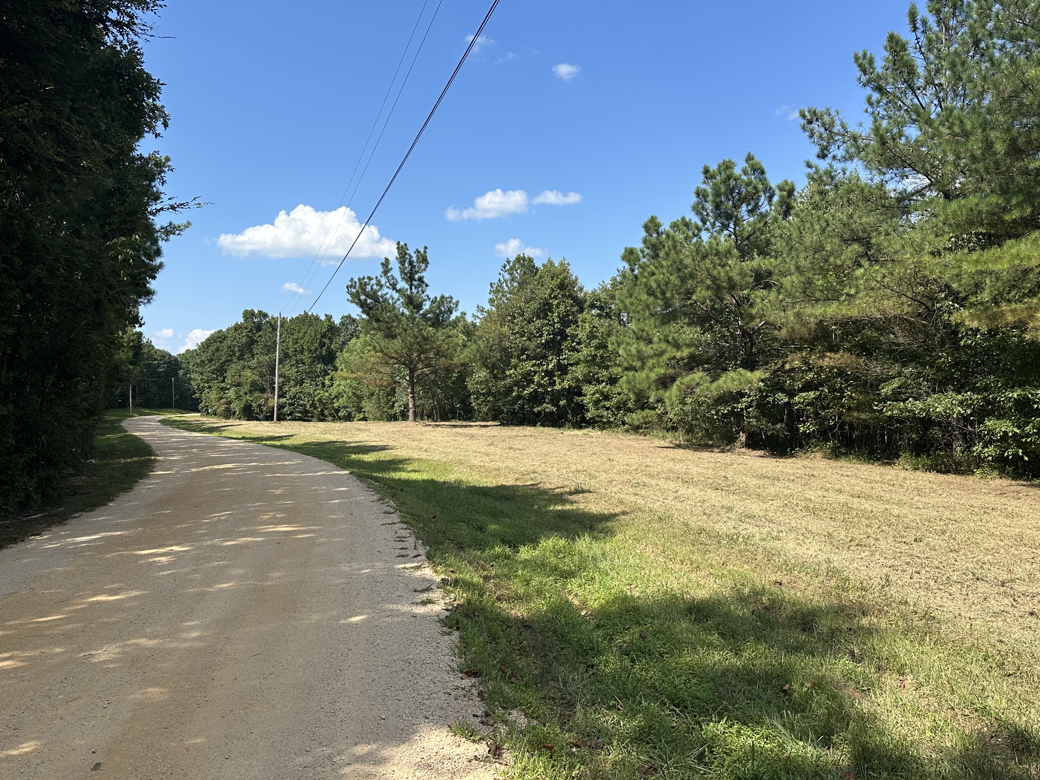 After photo: smoothly mulched open field with clean gravel road and healthy hardwood tree line after Back 40 Land Services roadside clearing and field reclamation in Franklin, Williamson County TN