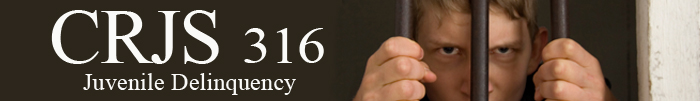 Custom Course Banners
