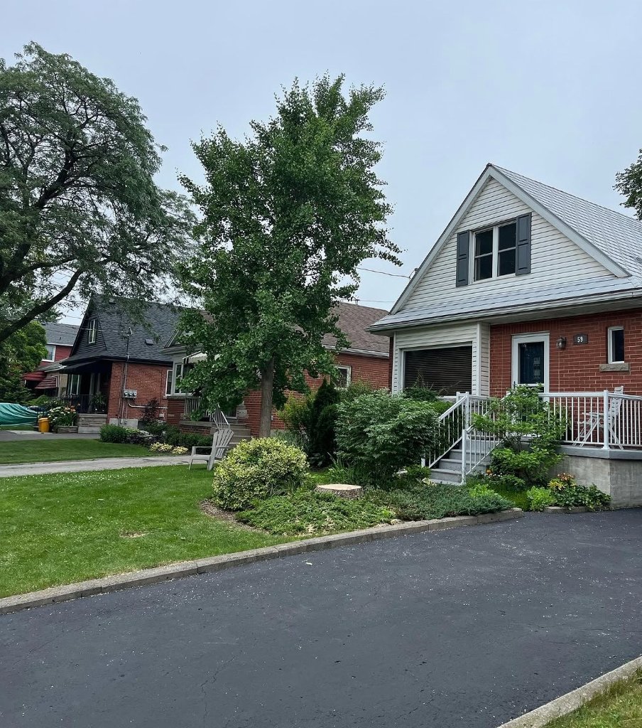 After - Clean Pruning