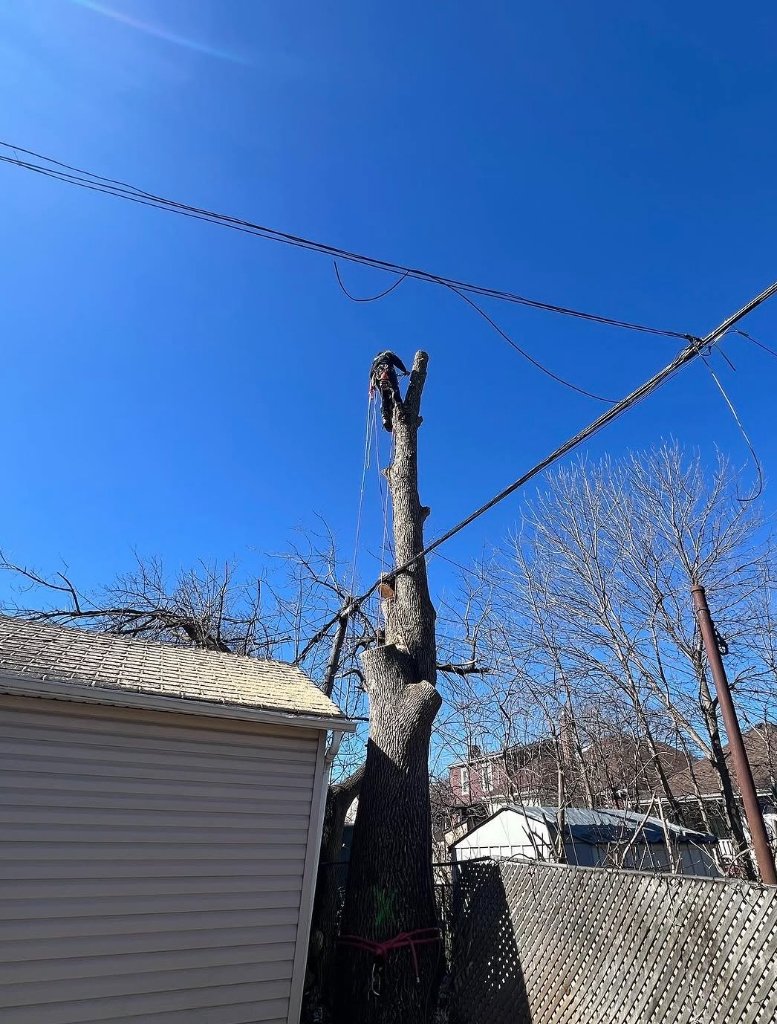 Precision Removal Near Structure