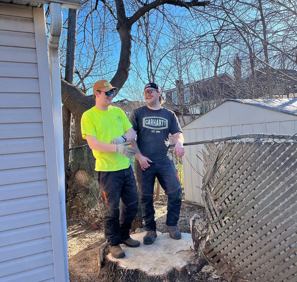 The Team at Work