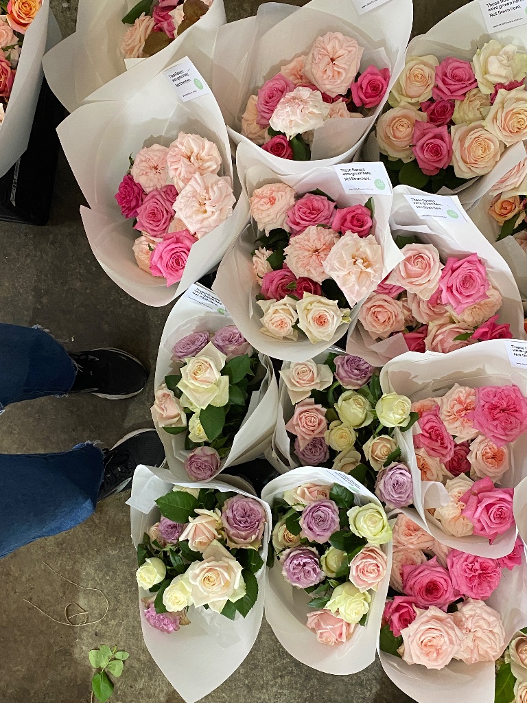 Freshly cut roses