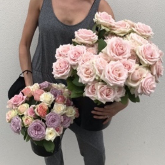 Pastels roses