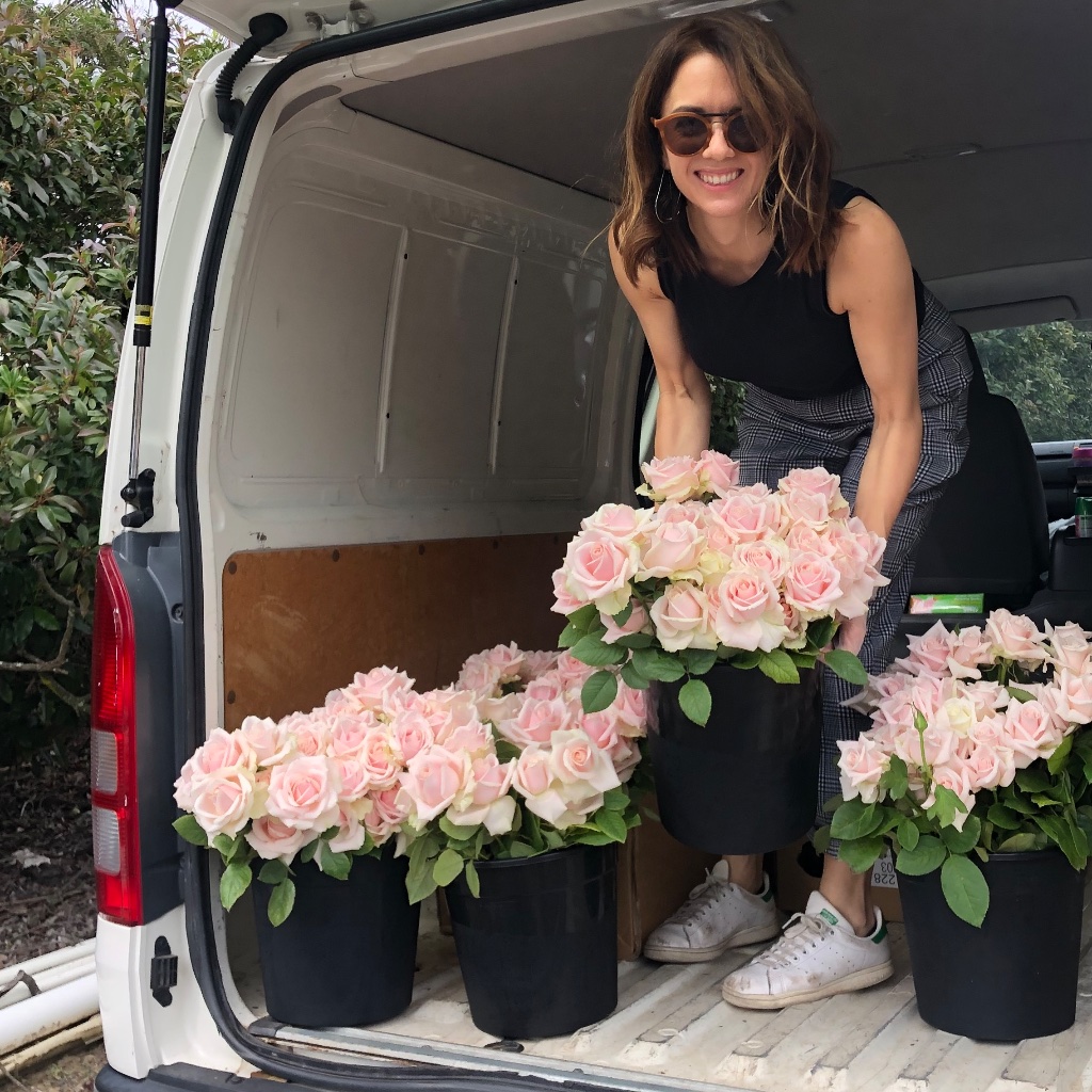 The Best Time to Buy Roses in Sydney: A Seasonal Guide