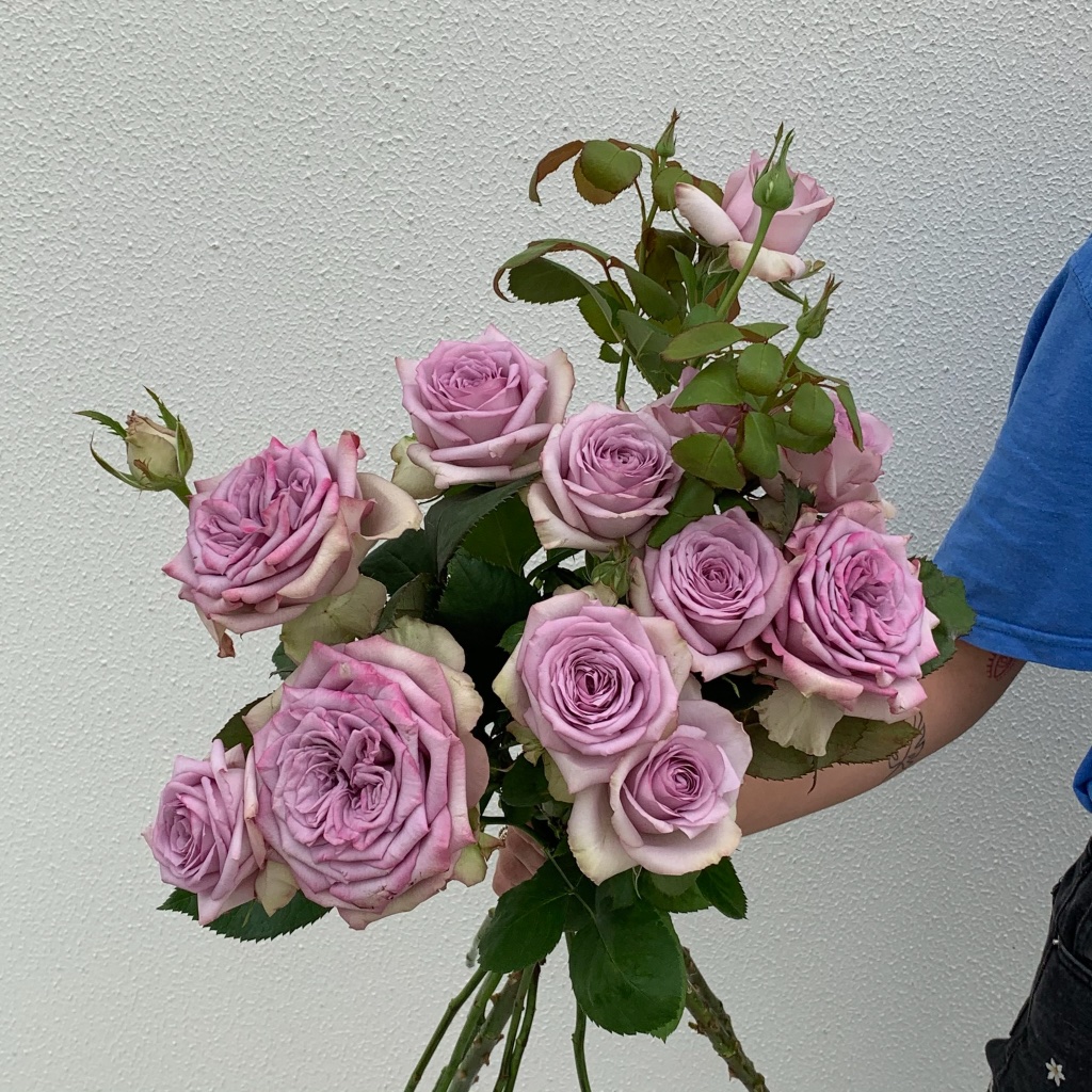 Locally grown Australian roses bouquet from Dural Sydney