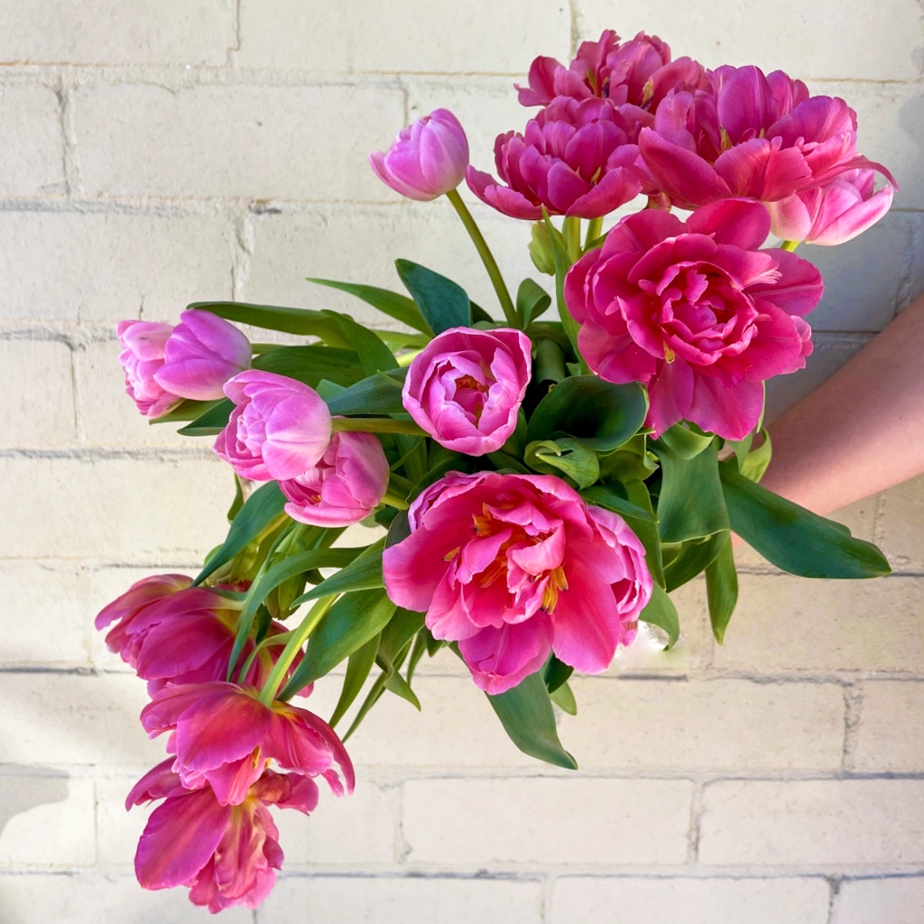 Peony Tulips bouquet - fresh Australian seasonal flowers