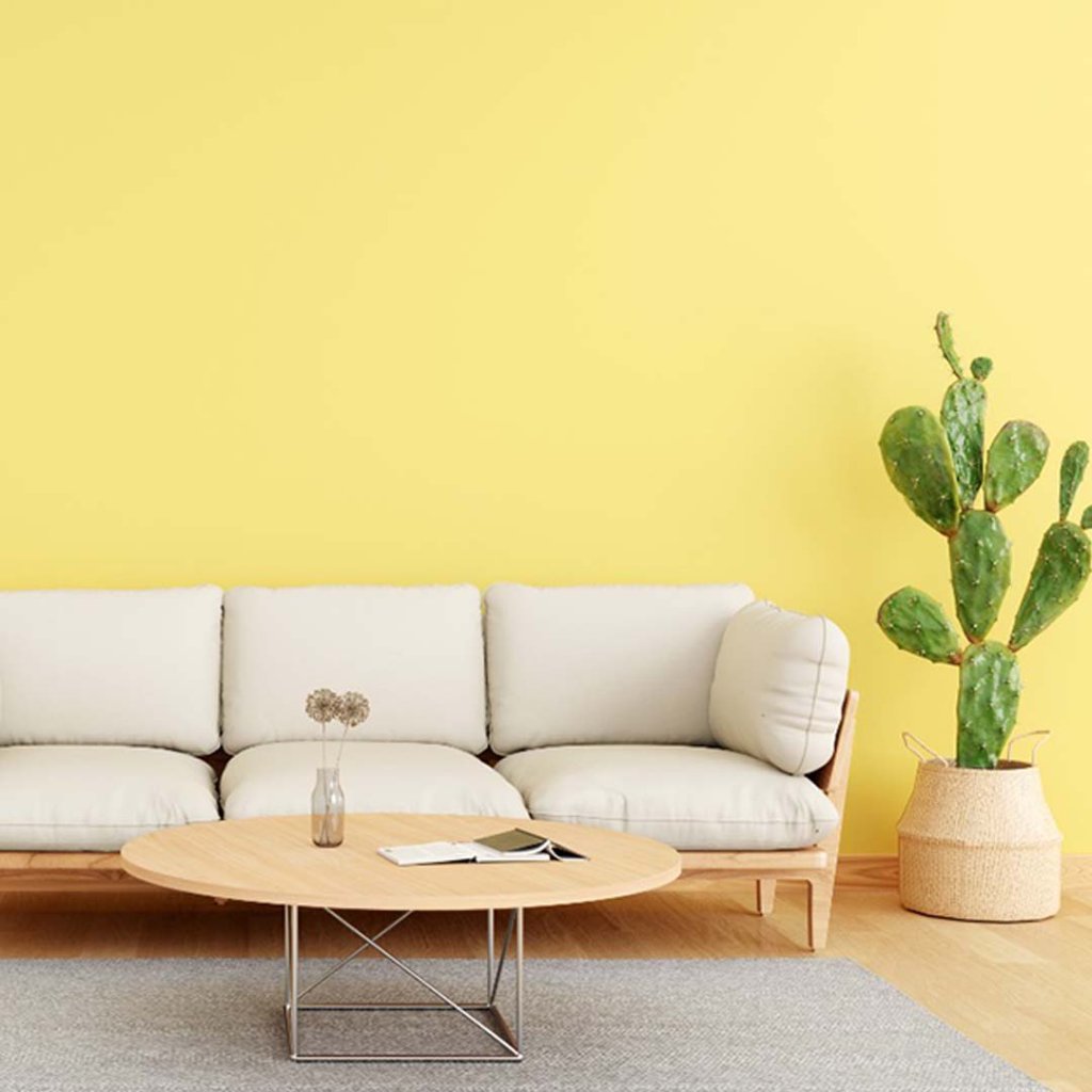 Feature Walls & Colours