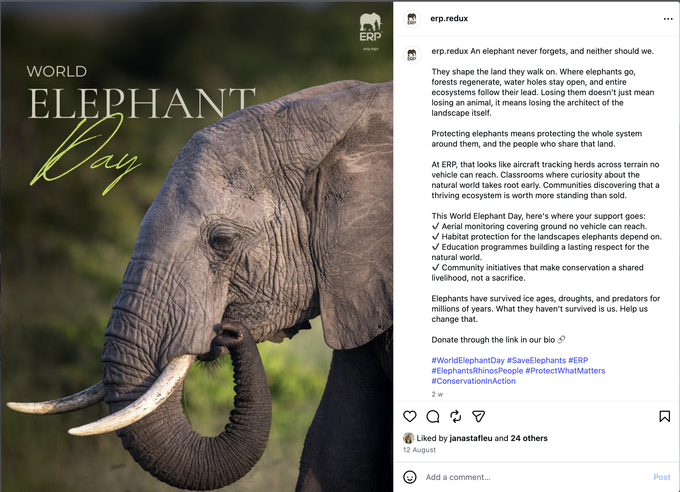 An elephant never forgets, and neither should we. They shape the land they walk on — protecting elephants means protecting the whole system around them. Happy World Elephant Day.
