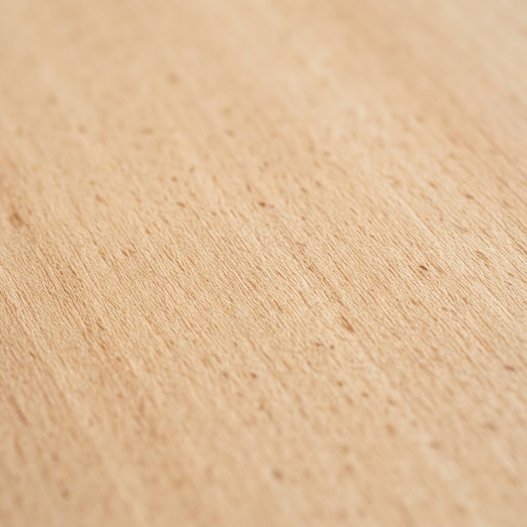 Natural beech wood grain close-up