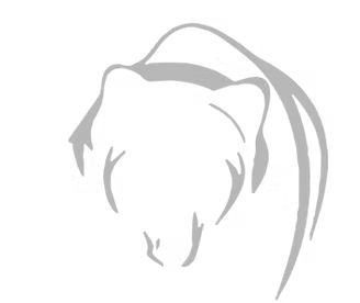 Tenth Bear Studios