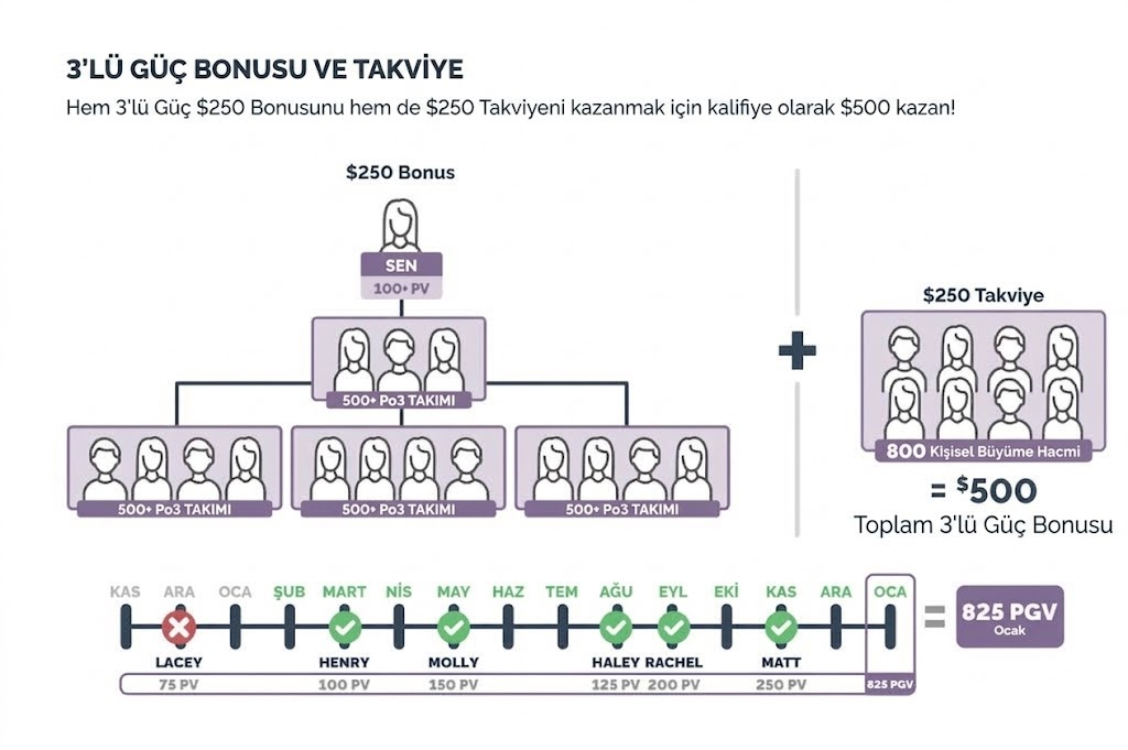Üçlü Güç Bonusu ve Takviye - takım yapısı, 800 PGV ve aylık takip çizelgesi