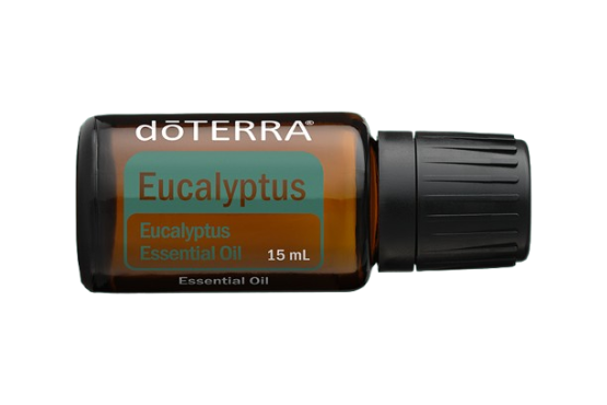Eucalyptus