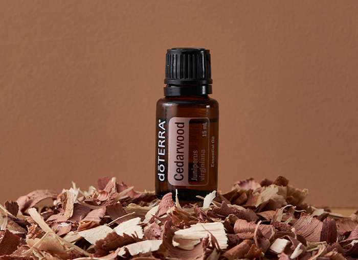 dōTERRA Sedir Ağacı Yağı (Cedarwood) Faydaları: Uyku, Saç ve Cilt Bakımında Doğal Güç
