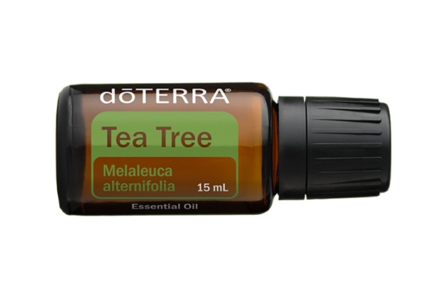 Melaleuca (Tea Tree)