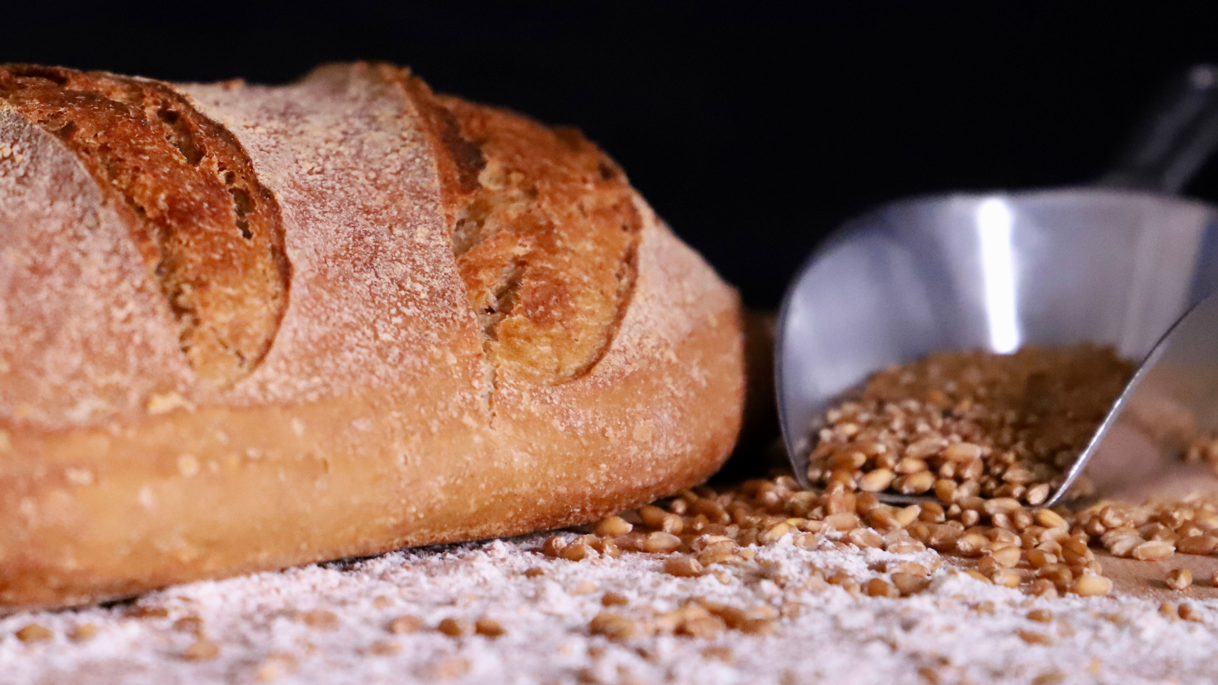 Fresh artisan bread