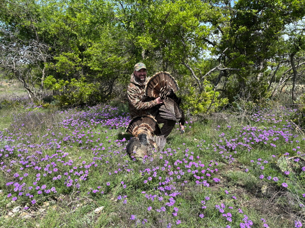 Trophy Gobbler in the Wildflowers