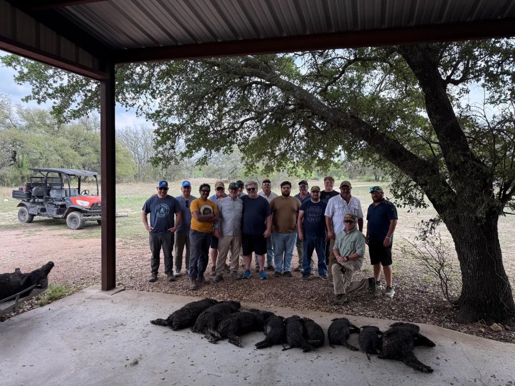 Big Group Hog Hunt — El Chital Ranch