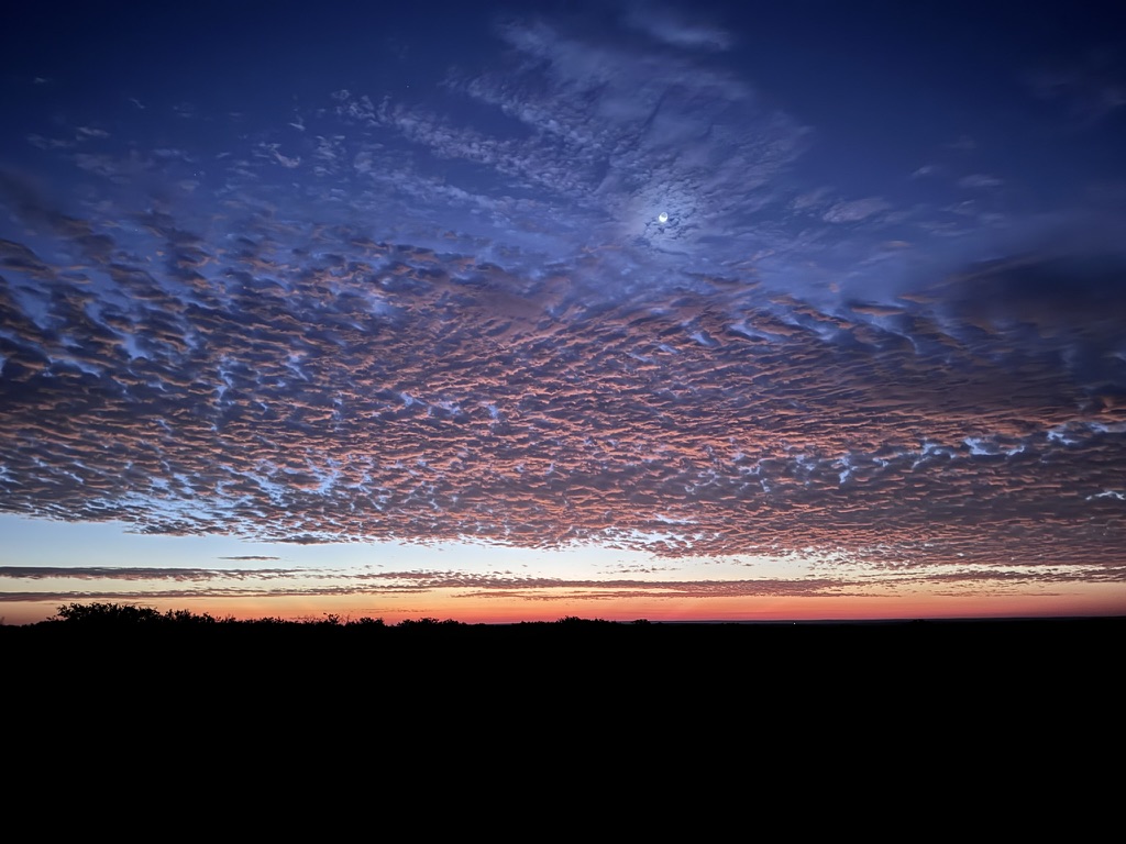 Texas sunrise over mesquite brush country at El Chital Ranch