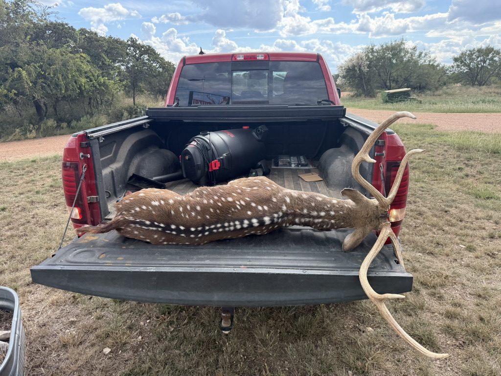 Trophy Axis Buck — Truck Bed