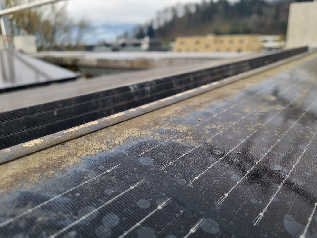 Verschmutztes PV-Modul vor der Reinigung