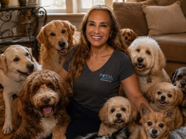 Pet Insurance