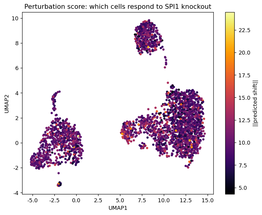 Perturbation score UMAP — SPI1 knockout predicted shift
