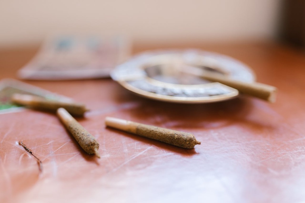 Best Weed for Creativity and Focus (What Actually Works — Silly Nice Cannabis Blog
