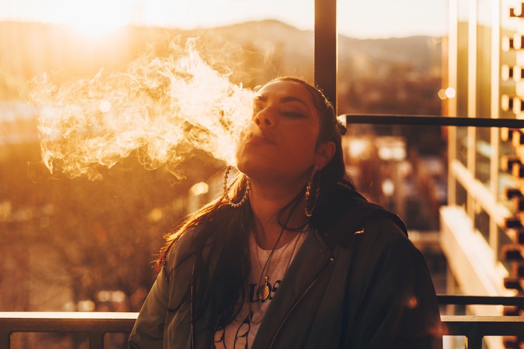 Cereal Milk vs. Pink Stardust: Sweet Flavor or True — Silly Nice Cannabis Blog
