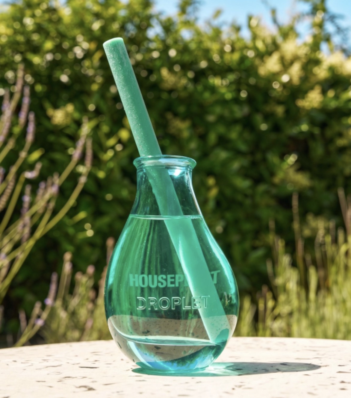 The Houseplant x Droplet House Scent Reed Diffuser in its hand-blown glass vessel